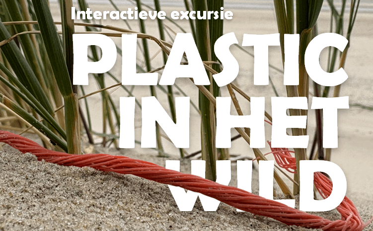 Interactieve excursie plastic in het wild op Vlieland